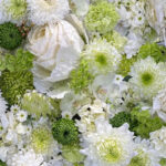 Maywood Studio Hand Picked Christmas - Christmas Frost - Green/White