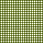 Maywood Studio Beautiful Basics - Classic Check - Leaf Green