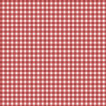Maywood Studio Beautiful Basics - Classic Check - Red