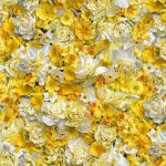 Maywood Studio Forget Me Not - Cheerfulness - Yellow