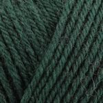 Pure Wool Superwash Worsted - 200 Verdant