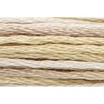 Stranded Cotton Multicolour Embroidery Thread - 1300 - Beige Light Moss