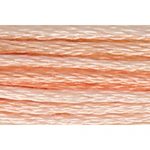 Stranded Cotton Multicolour Embroidery Thread - 1318 - Apricot Melange