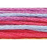 Stranded Cotton Multicolour Embroidery Thread - 1360 - Multi Fantasy