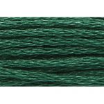 Stranded Cotton Embroidery Thread - 0212 - Book Green