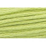 Stranded Cotton Embroidery Thread - 0254 - Apple Green