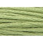Stranded Cotton Embroidery Thread - 0265 - Buds Green