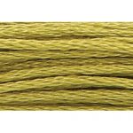 Stranded Cotton Embroidery Thread - 0280 - Kiwi