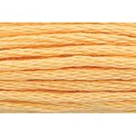 Stranded Cotton Embroidery Thread - 0311 - Apricot Bright