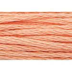 Stranded Cotton Embroidery Thread - 0336 - Amber