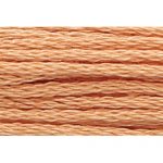 Stranded Cotton Embroidery Thread - 0347 - Rumfarben