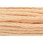 Stranded Cotton Embroidery Thread - 0361 - Straw