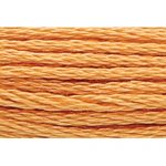 Stranded Cotton Embroidery Thread - 0363 - Honey