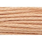 Stranded Cotton Embroidery Thread - 0367 - Brandy