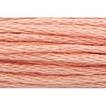 Stranded Cotton Embroidery Thread - 0868 - Dark Crab