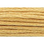 Stranded Cotton Embroidery Thread - 0874 - Gooseberry