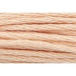 Stranded Cotton Embroidery Thread - 0881 - Skin