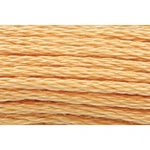 Stranded Cotton Embroidery Thread - 0891 - Ochre Bright