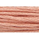 Stranded Cotton Embroidery Thread - 1008 - Brown Bright