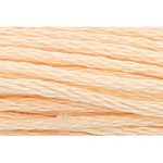 Stranded Cotton Embroidery Thread - 1010 - Skin Medium