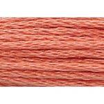 Stranded Cotton Embroidery Thread - 1013 - Red Brown Bright