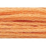 Stranded Cotton Embroidery Thread - 1047 - Red Brown Bright