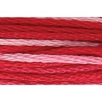 Stranded Cotton Embroidery Thread - 1204 - Red Ombre
