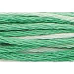 Stranded Cotton Embroidery Thread - 1213 - Green Ombre