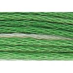 Stranded Cotton Embroidery Thread - 1215 - Grass Green Ombre