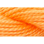Pearl Cotton 5 Embroidery Thread - P5-00313