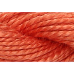 Pearl Cotton 5 Embroidery Thread - P5-00338