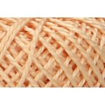 Pearl Cotton 5 Embroidery Thread - P5-00361