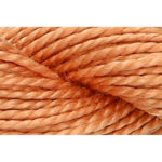 Pearl Cotton 5 Embroidery Thread - P5-00368