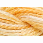 Pearl Cotton 5 Varigated Embroidery Thread - P-1303