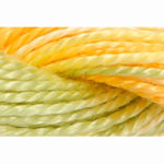 Pearl Cotton 5 Varigated Embroidery Thread - P-1304