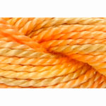 Pearl Cotton 5 Varigated Embroidery Thread - P-1305