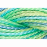Pearl Cotton 5 Varigated Embroidery Thread - P-1345