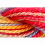 Pearl Cotton 5 Varigated Embroidery Thread - P-1360