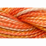 Pearl Cotton 5 Varigated Embroidery Thread - P-1385