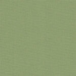 Zweigart Aida 20ct - 110cm, 6016 Fern Green