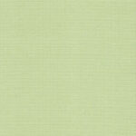 Zweigart Aida 20ct - 110cm, 6083 Mimosa Green