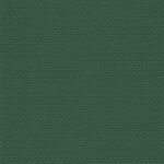 Zweigart Aida 14ct - 6037 Dark Green