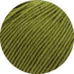 Cool Wool Big DK - May Green (1021)