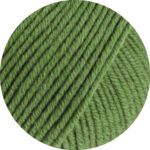 Cool Wool Big DK Melange - Green Melange (1634)