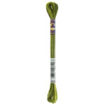 DMC Mouliné Colour Variations Stranded Cotton - 4066 - Amazon Moss