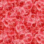 Wide Backs 108 - Michael Miller - Rose Marie Garden - Rose